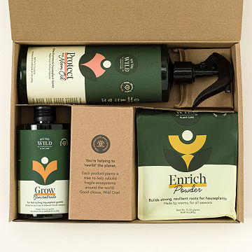Houseplant Care Essentials Kit